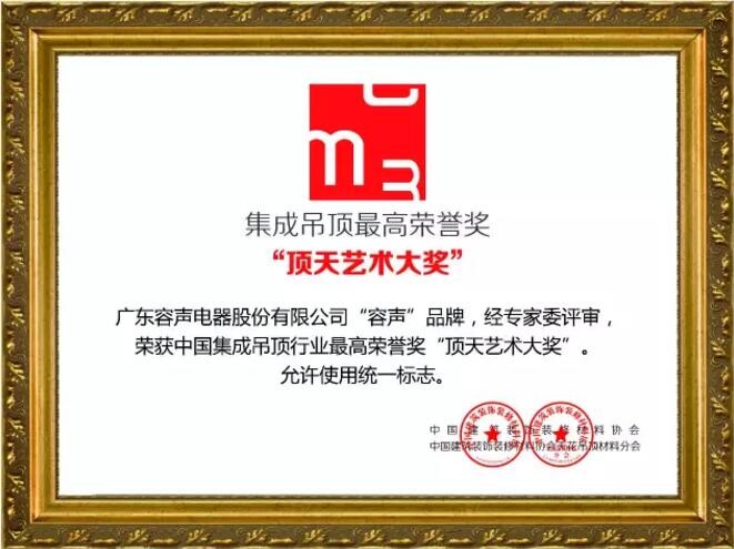 頂天藝術(shù)大獎