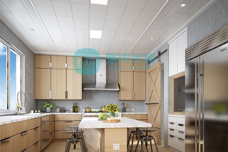 容聲集成吊頂現(xiàn)代風(fēng)格效果圖