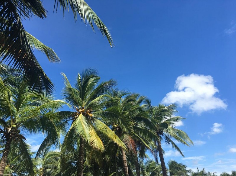 2017容聲集成吊頂優(yōu)秀經銷商三亞游