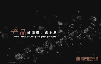 2016年企業(yè)宣傳片產(chǎn)品篇